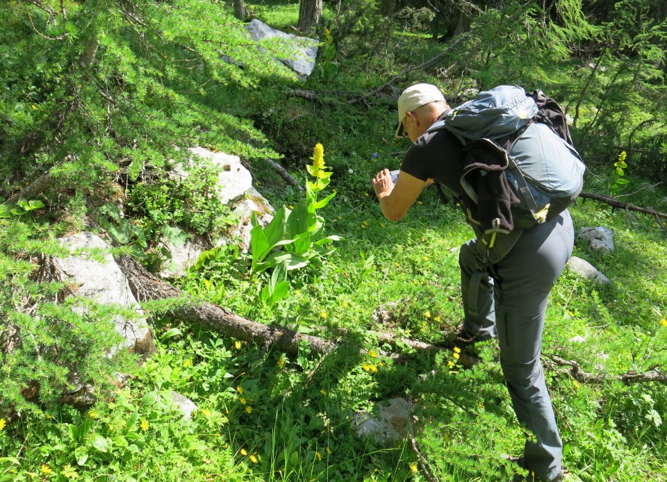 Blejska koča in mrežice  17.06.2022 - foto povečava