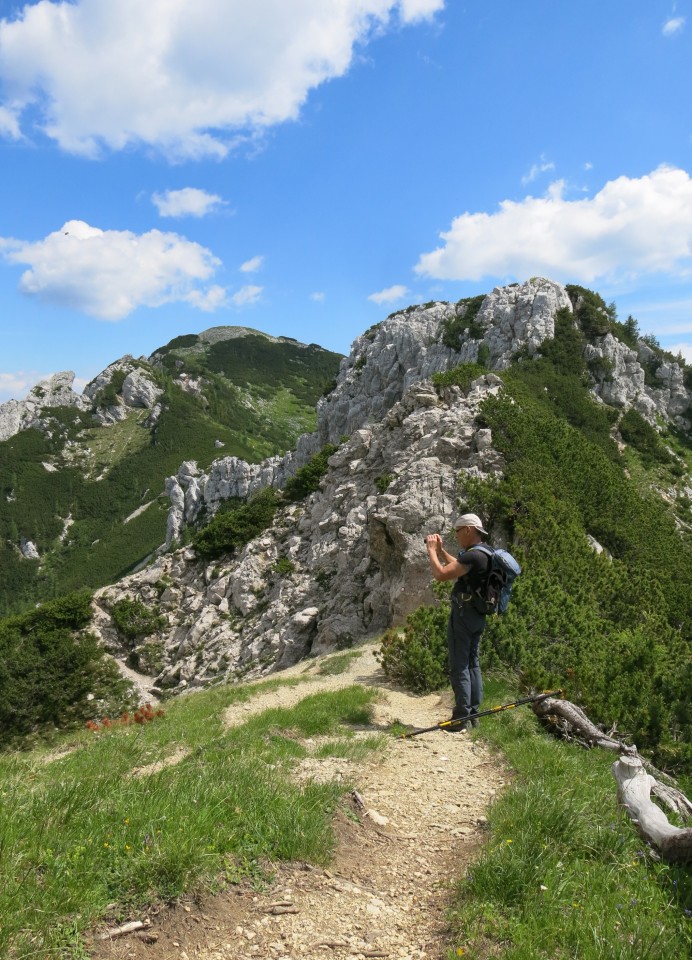 Blejska koča in mrežice  17.06.2022 - foto povečava