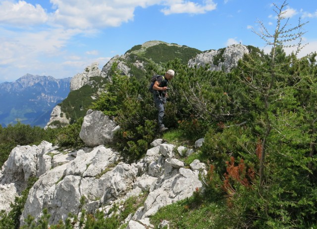 Blejska koča in mrežice  17.06.2022 - foto