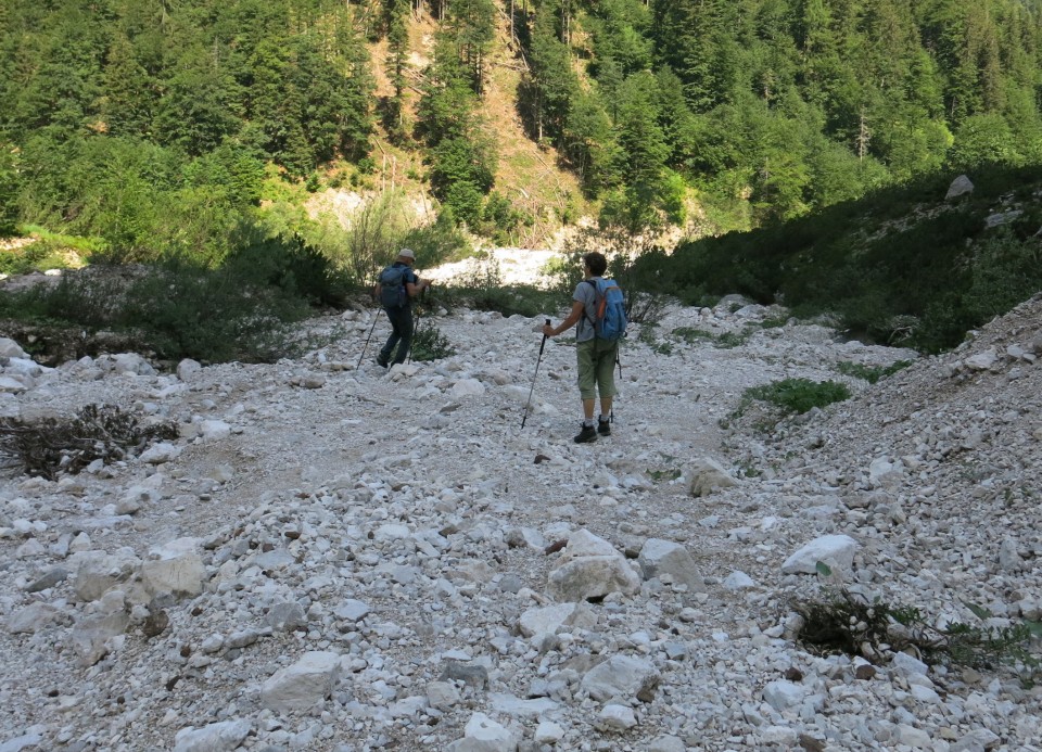 Pod prisojnikom  01.07.2022 - foto povečava