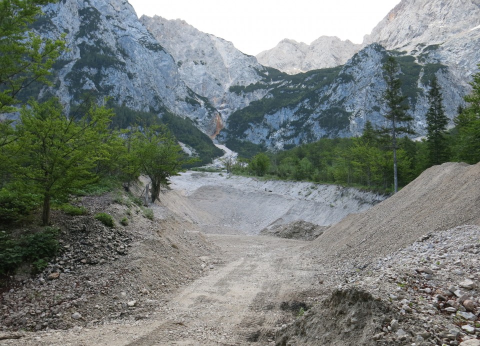 Ledine     25.06.2022 - foto povečava