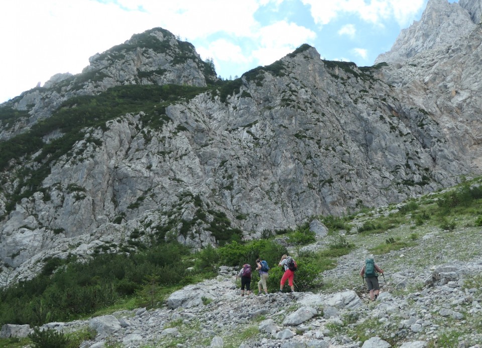 Ledine     25.06.2022 - foto povečava