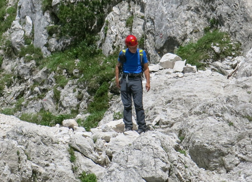 Ledine     25.06.2022 - foto povečava