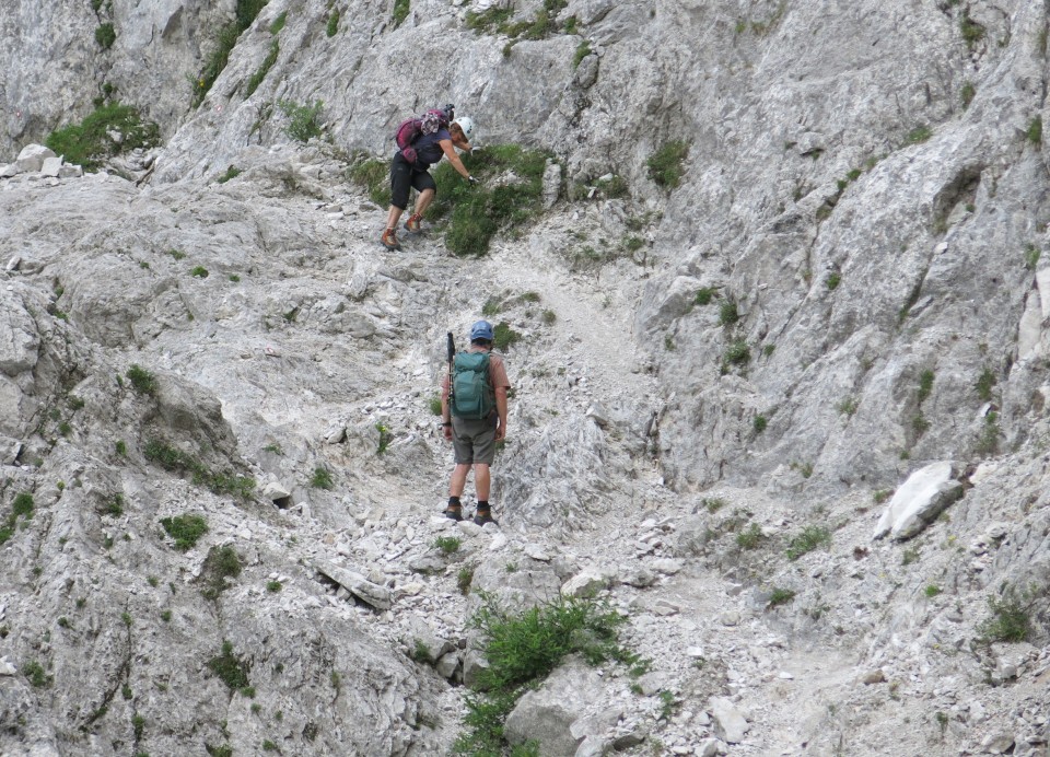 Ledine     25.06.2022 - foto povečava