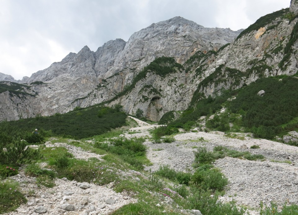 Ledine     25.06.2022 - foto povečava