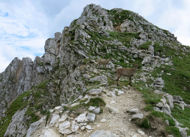 Terra rossa  14.07.2022 - foto