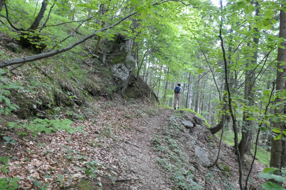 Mavrinc   15.07. 2022 - foto povečava