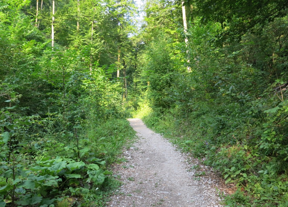 Pokljuška soteska + krma  23.07.2022 - foto povečava