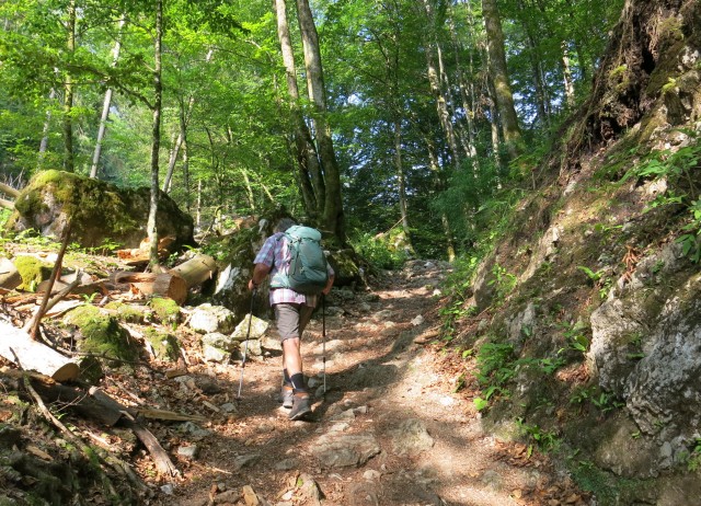 Pokljuška soteska + krma  23.07.2022 - foto