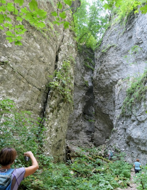 Pokljuška soteska + krma  23.07.2022 - foto