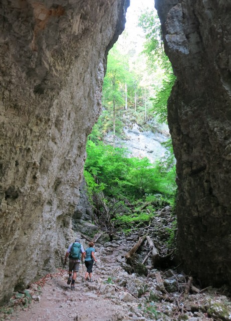 Pokljuška soteska + krma  23.07.2022 - foto