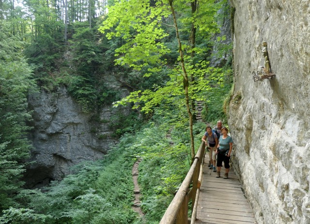 Pokljuška soteska + krma  23.07.2022 - foto