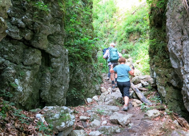 Pokljuška soteska + krma  23.07.2022 - foto