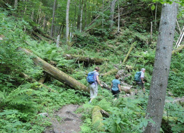 Pokljuška soteska + krma  23.07.2022 - foto