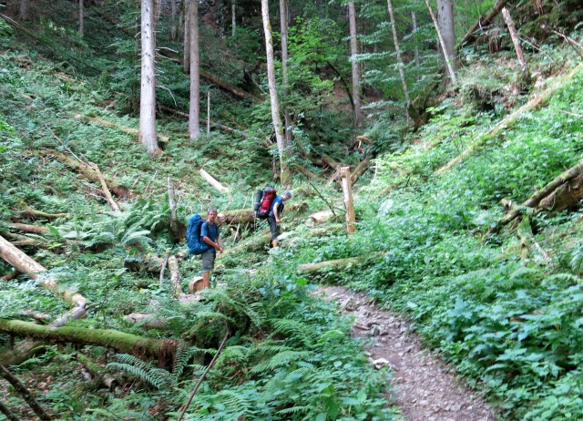 Pokljuška soteska + krma  23.07.2022 - foto