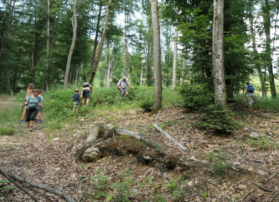 Pokljuška soteska + krma  23.07.2022 - foto povečava