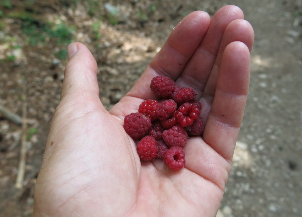 Pokljuška soteska + krma  23.07.2022 - foto povečava