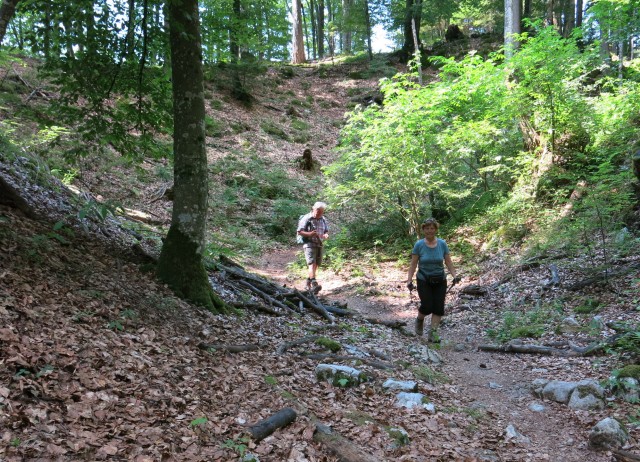 Pokljuška soteska + krma  23.07.2022 - foto