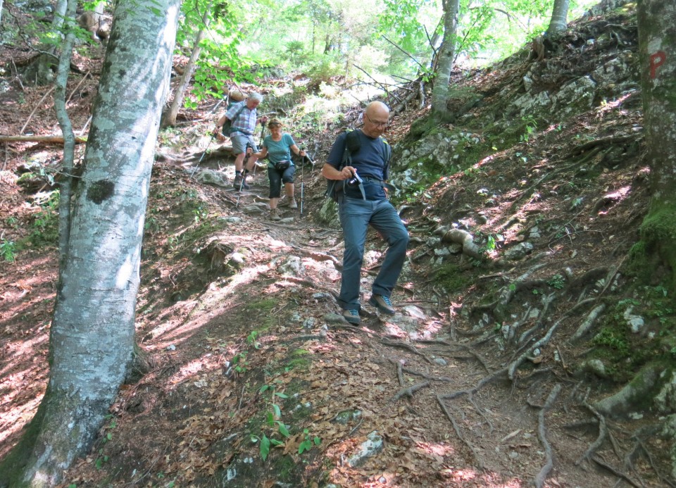 Pokljuška soteska + krma  23.07.2022 - foto povečava