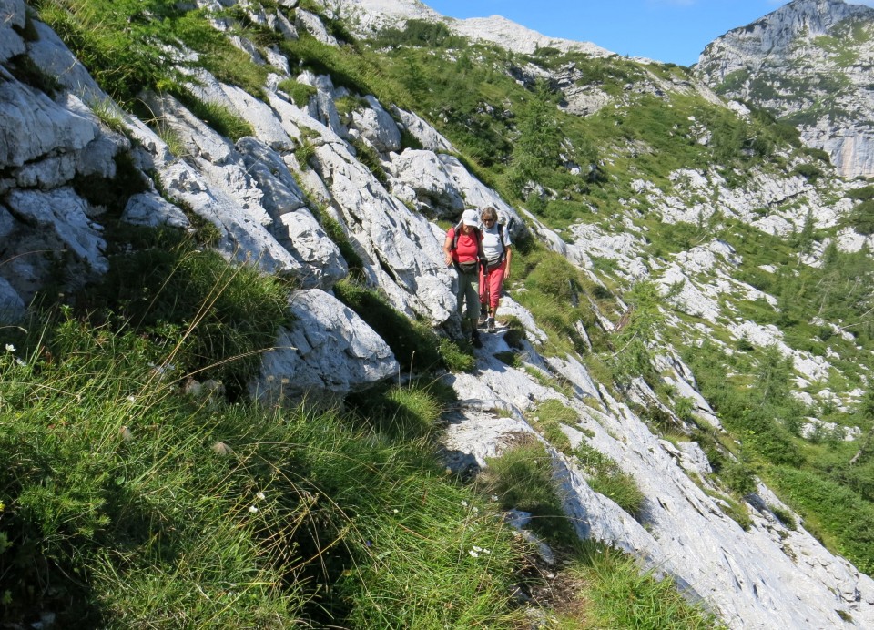 Sella n., proti Bavhi   03.08.2022 - foto povečava