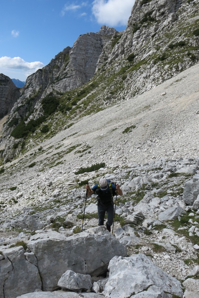 Nad šitom glava   24.08.2022 - foto povečava