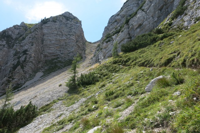 Nad šitom glava   24.08.2022 - foto