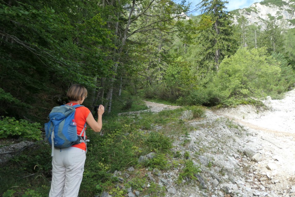 Pod kumlehi - brezpotje 25.8.2022 - foto povečava