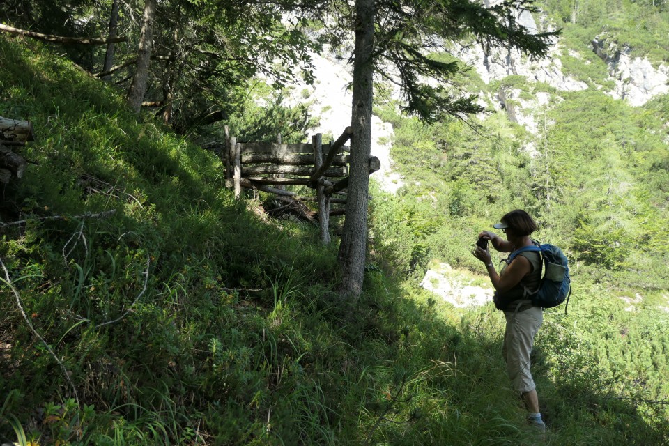 Pod kumlehi - brezpotje 25.8.2022 - foto povečava