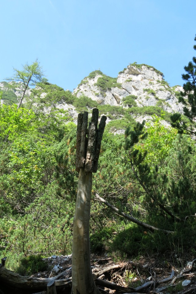 Pod kumlehi - brezpotje 25.8.2022 - foto povečava