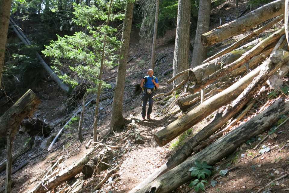 Pod kumlehi - brezpotje 25.8.2022 - foto povečava