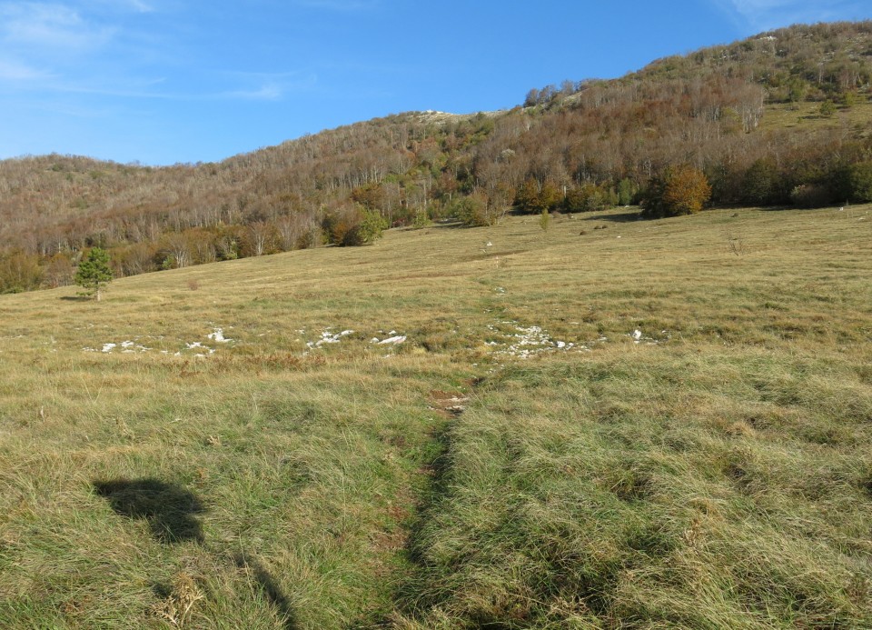 Prpa - velebit  17.10.2022 - foto povečava