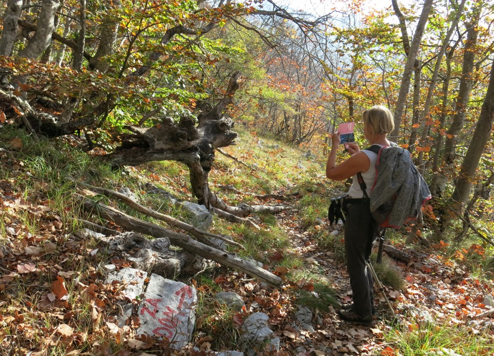 Prpa - velebit  17.10.2022 - foto povečava