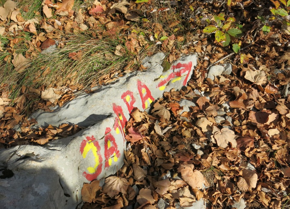 Prpa - velebit  17.10.2022 - foto povečava