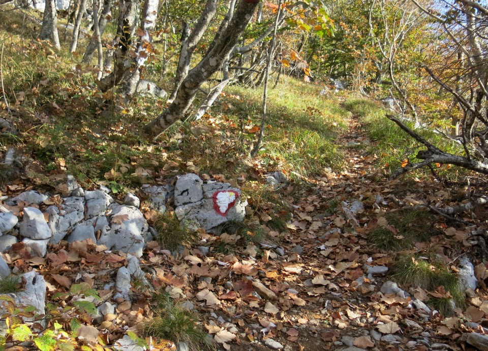 Prpa - velebit  17.10.2022 - foto povečava