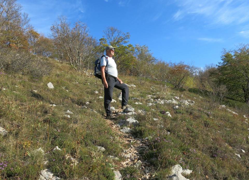 Prpa - velebit  17.10.2022 - foto povečava