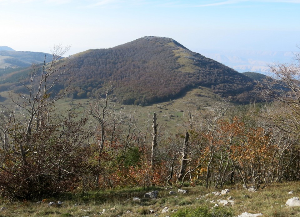 Prpa - velebit  17.10.2022 - foto povečava