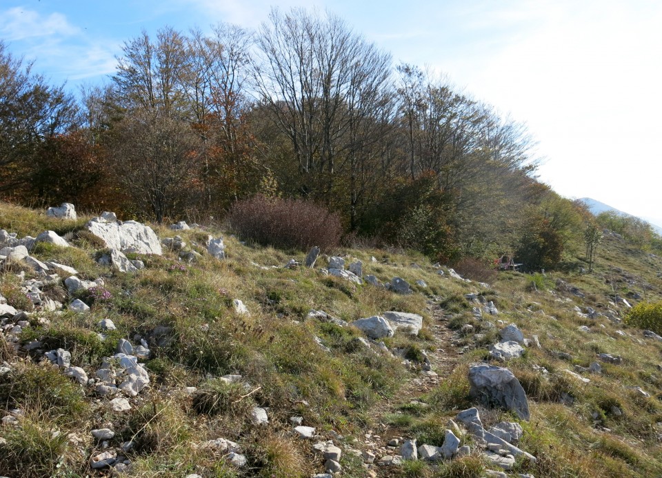 Prpa - velebit  17.10.2022 - foto povečava
