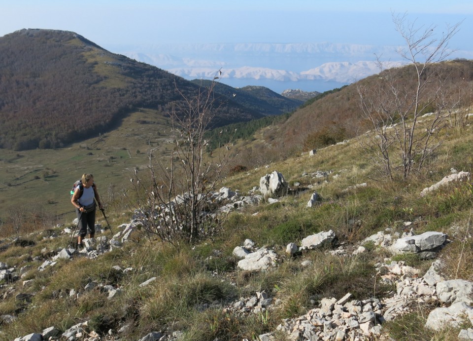 Prpa - velebit  17.10.2022 - foto povečava