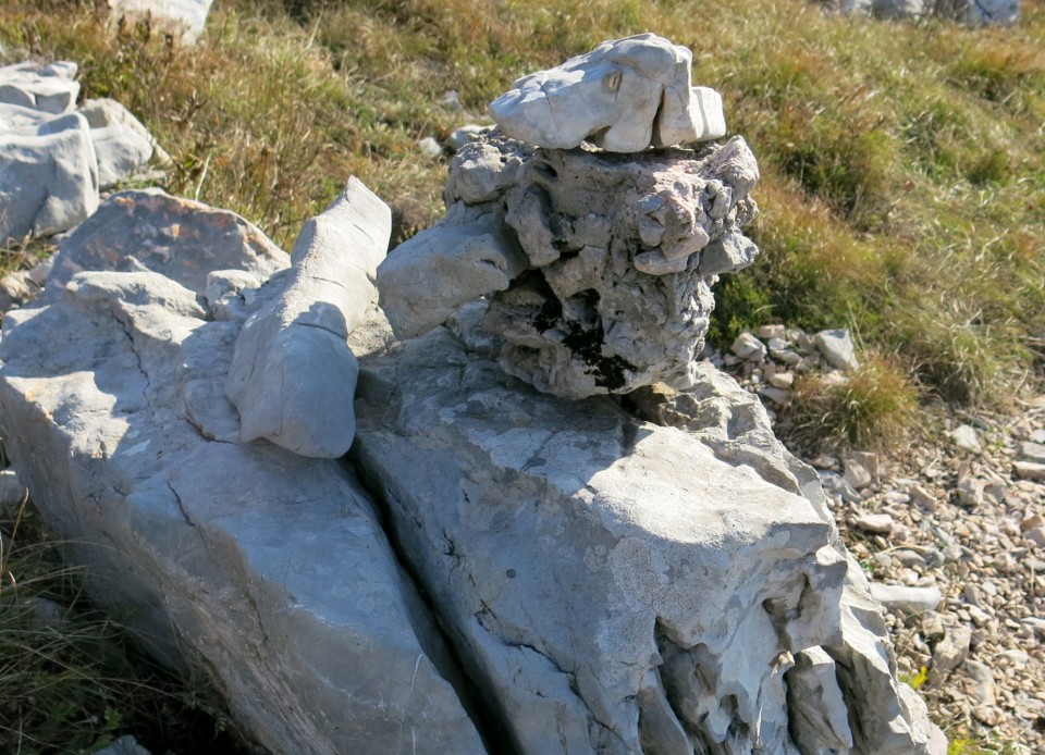 Prpa - velebit  17.10.2022 - foto povečava