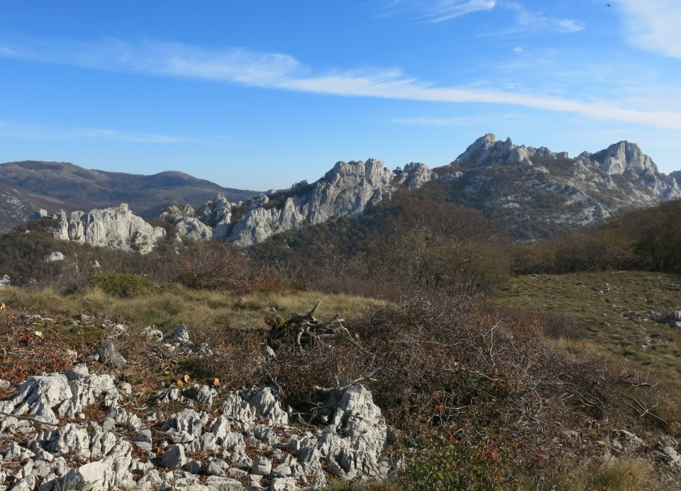 Prpa - velebit  17.10.2022 - foto povečava