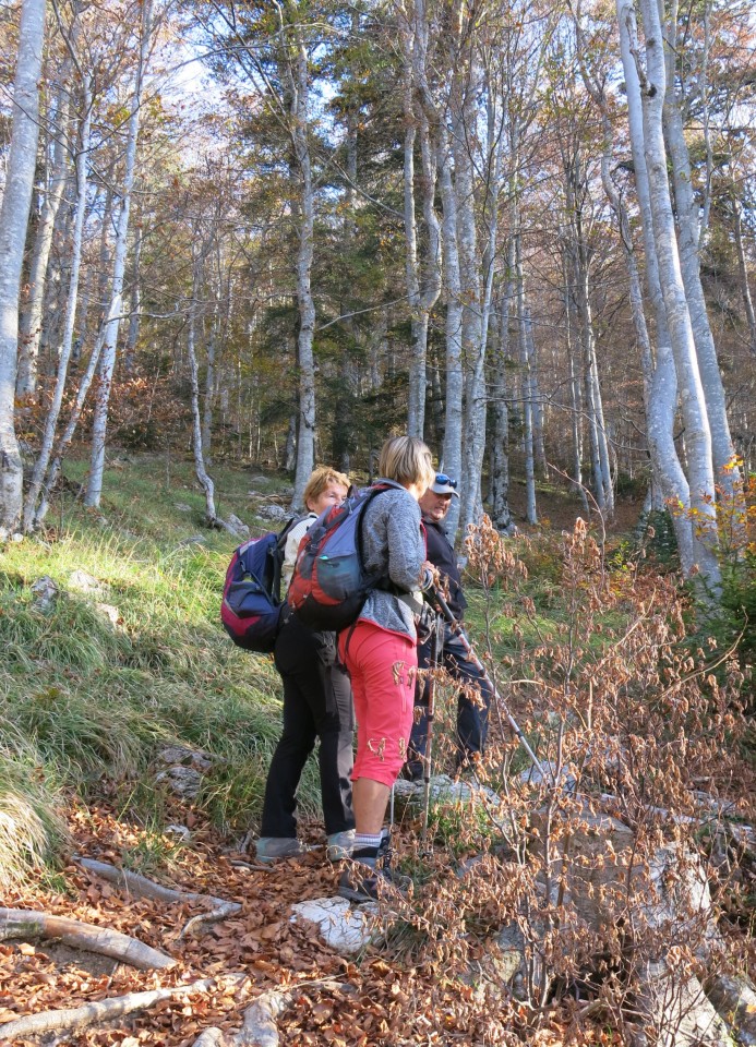 Ljubičko brdo - velebit  19.10.2022 - foto povečava