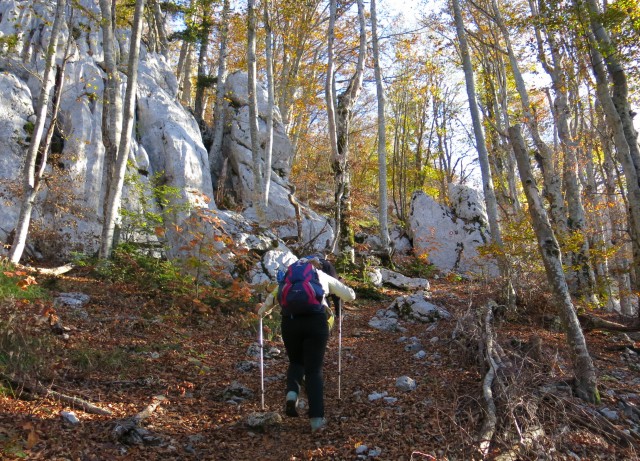 Ljubičko brdo - velebit  19.10.2022 - foto