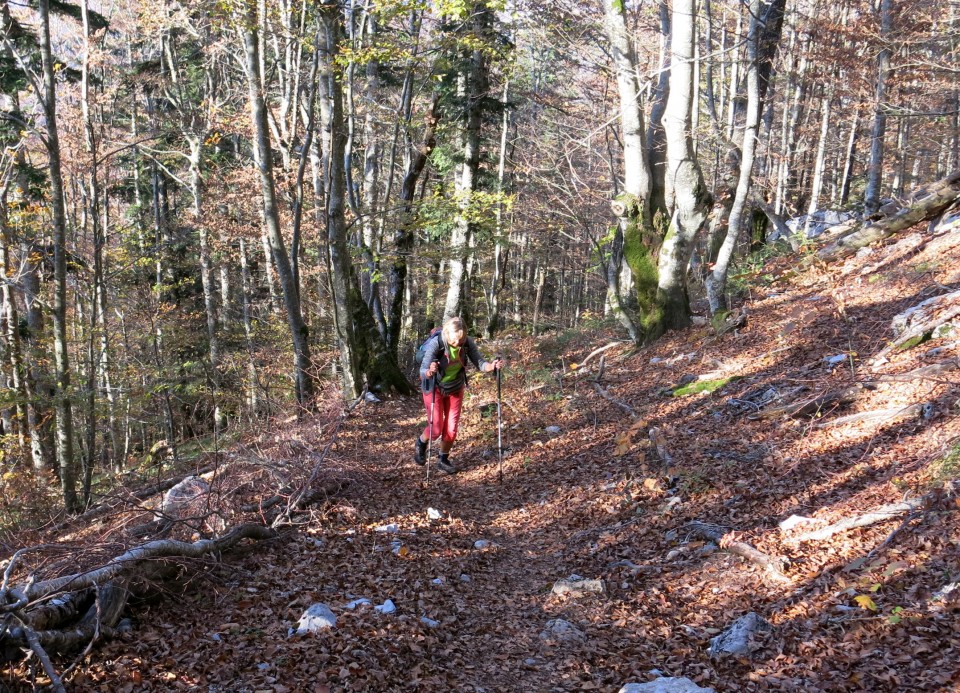 Ljubičko brdo - velebit  19.10.2022 - foto povečava