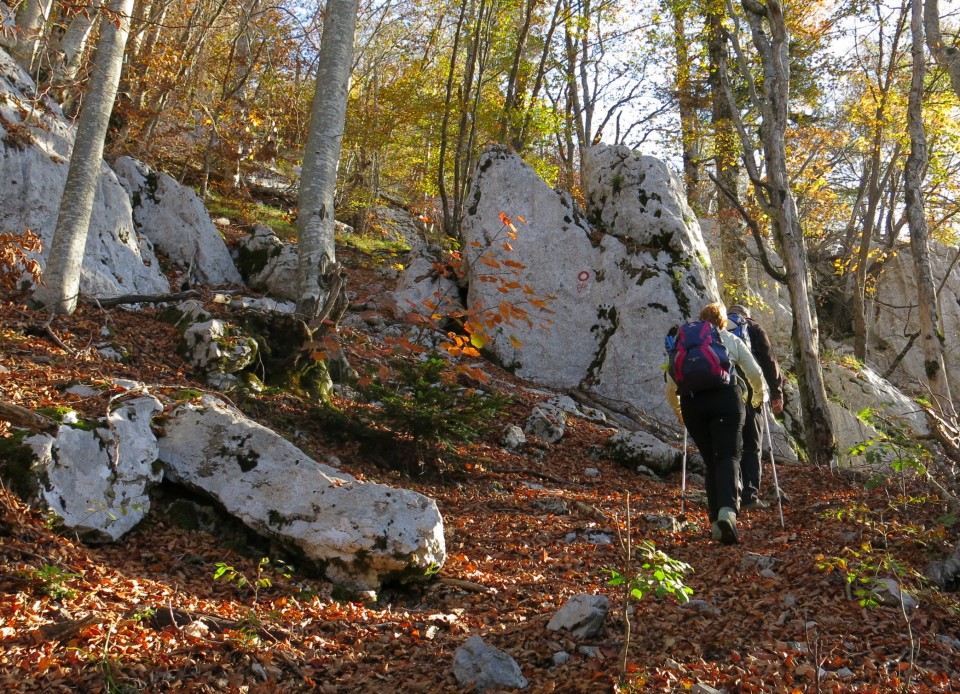 Ljubičko brdo - velebit  19.10.2022 - foto povečava