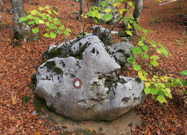 Ljubičko brdo - velebit  19.10.2022 - foto