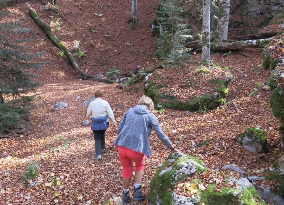 Ljubičko brdo - velebit  19.10.2022 - foto povečava