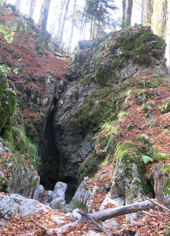 Ljubičko brdo - velebit  19.10.2022 - foto povečava