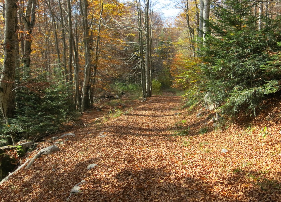 Ljubičko brdo - velebit  19.10.2022 - foto povečava