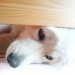 kuku 3/10