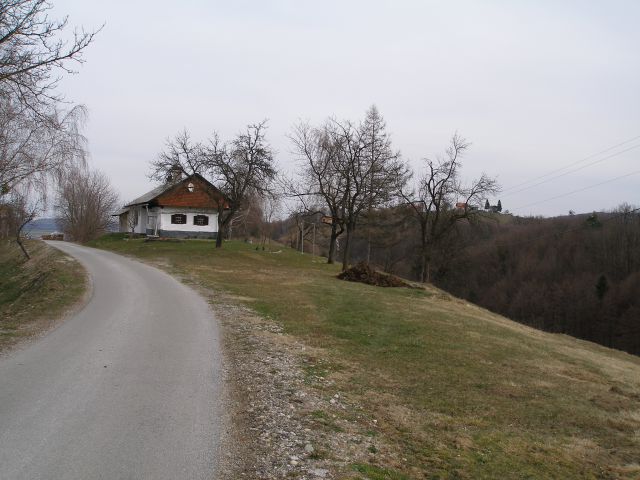 Levo od hiške je polje čemaža